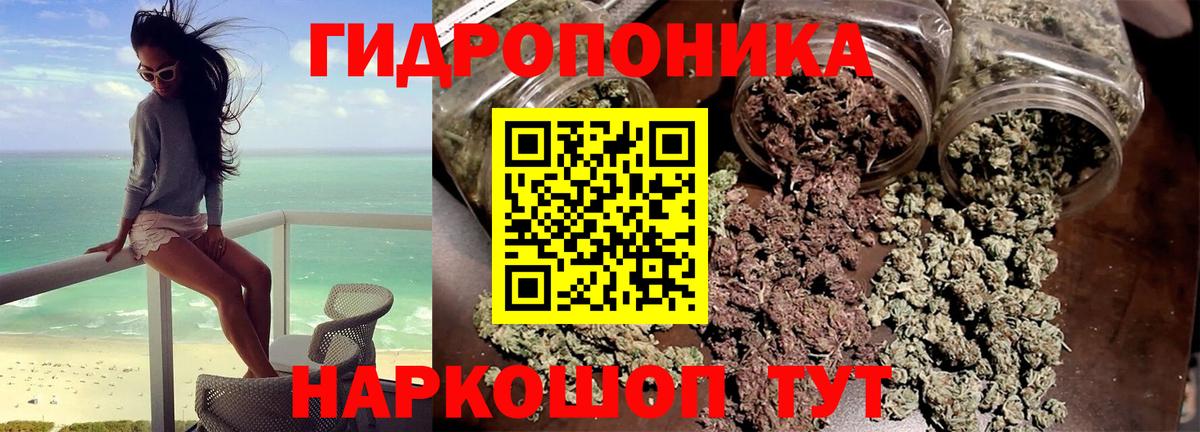 Бошки марихуана LSD WEED  Бошки Шишки планчик  Каннабис VHQ  Коммунар  Каннабис OG Kush  Вход с VPN 